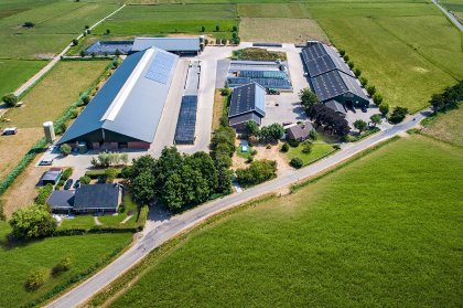 Te Koop Groot Biologisch Melkveebedrijf Boerderij Nl