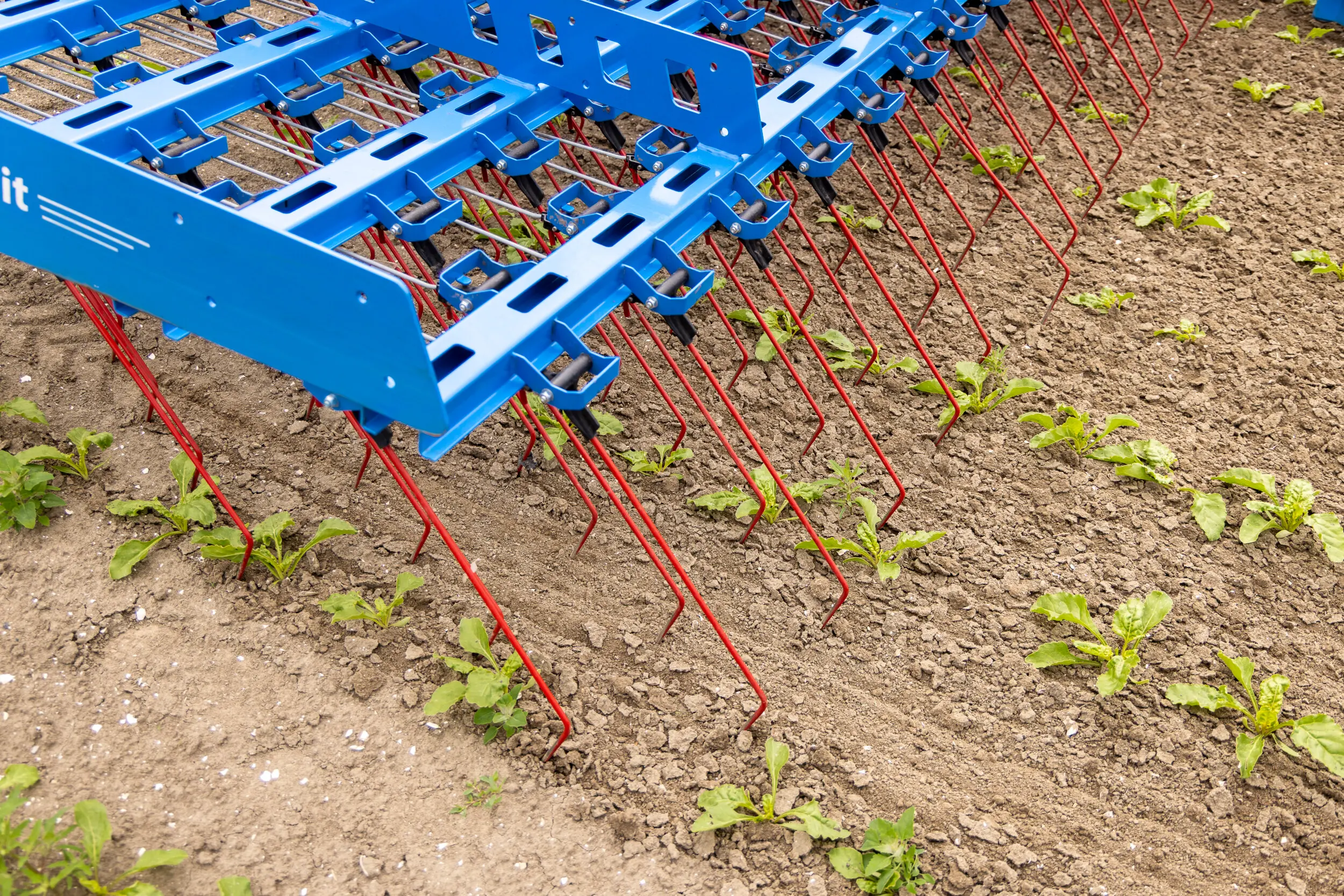 De Duitse machinefabrikant Lemken maakte onlangs bekend de productie van schoffelmachines en precisiewiedeggen te concentreren in Alpen (D). Foto: Koos Groenewold