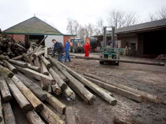 Hout kloven voor vleeskuikens Boerderij.nl