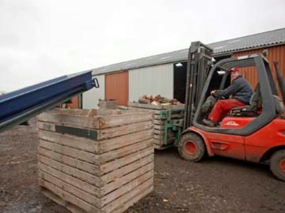 Hout kloven voor vleeskuikens Boerderij.nl