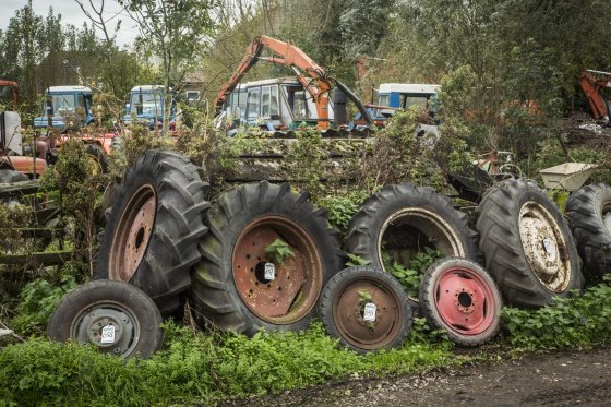 Trekkers te koop (2) - Boerderij.nl