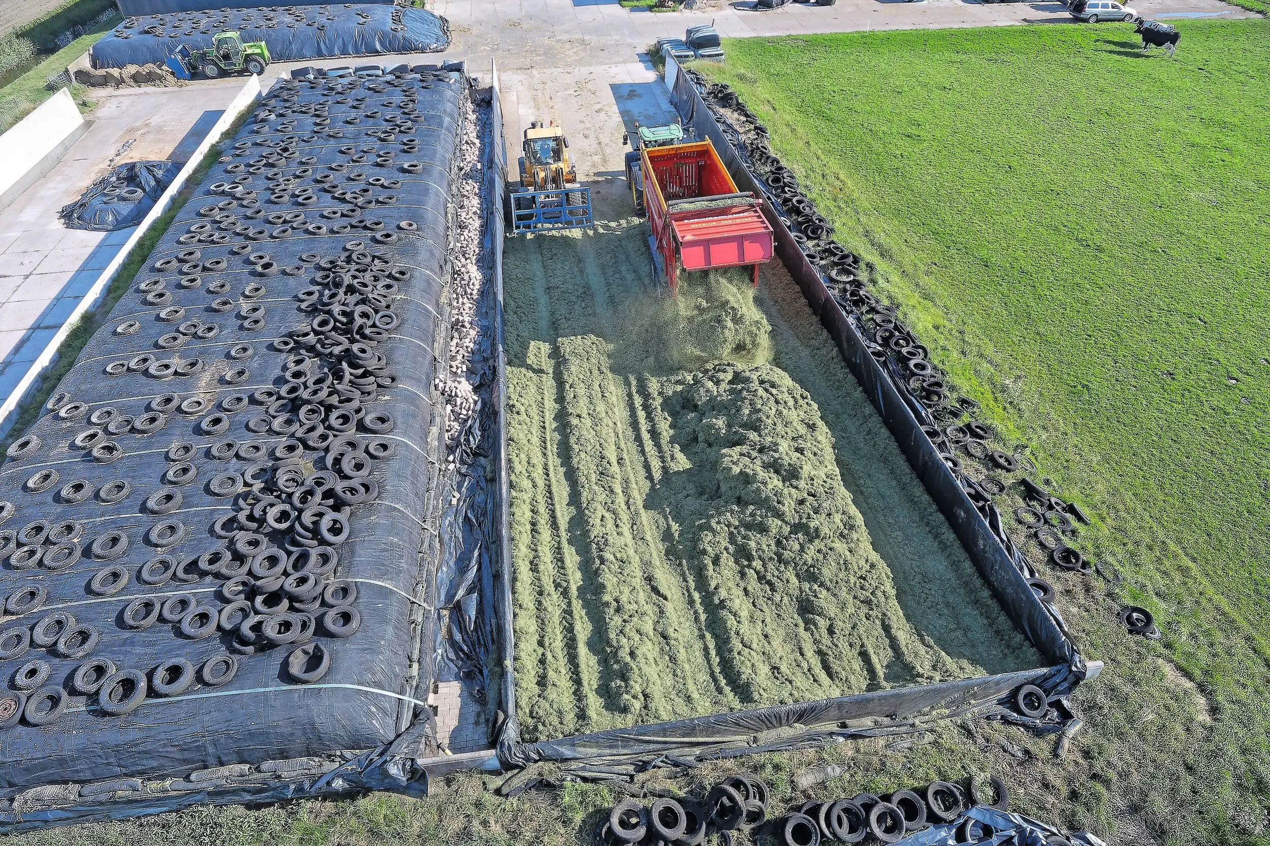 Inkuilen zoals het hoort. Opslag op de verharding, centraal aflopend naar een punt zodat afvoer van water goed te organiseren valt. Foto: Lex Salverda