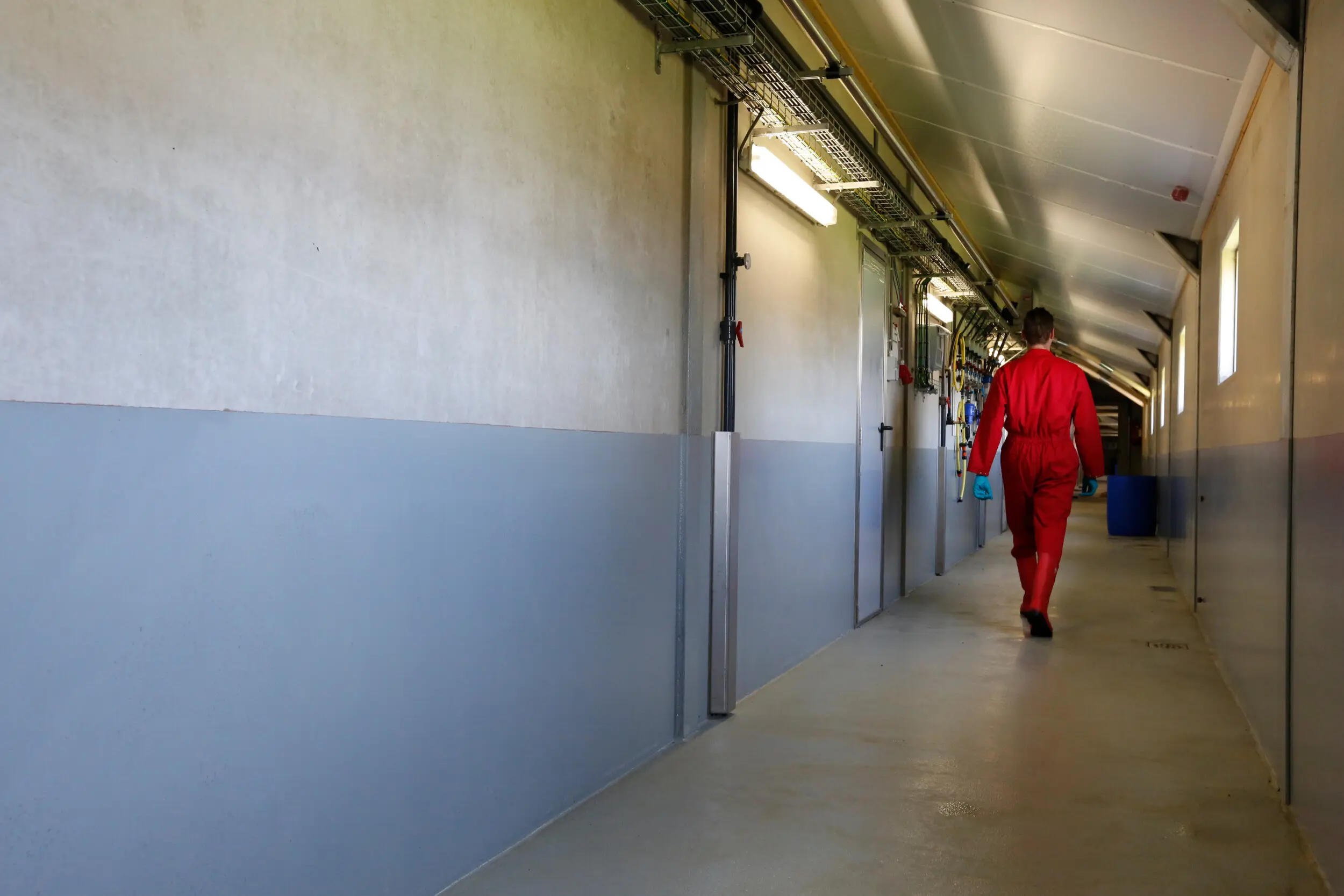 ‘Vaccinatie verlaagt de virusdruk, biosecurity sluit de deur’. Foto: Henk Riswick
