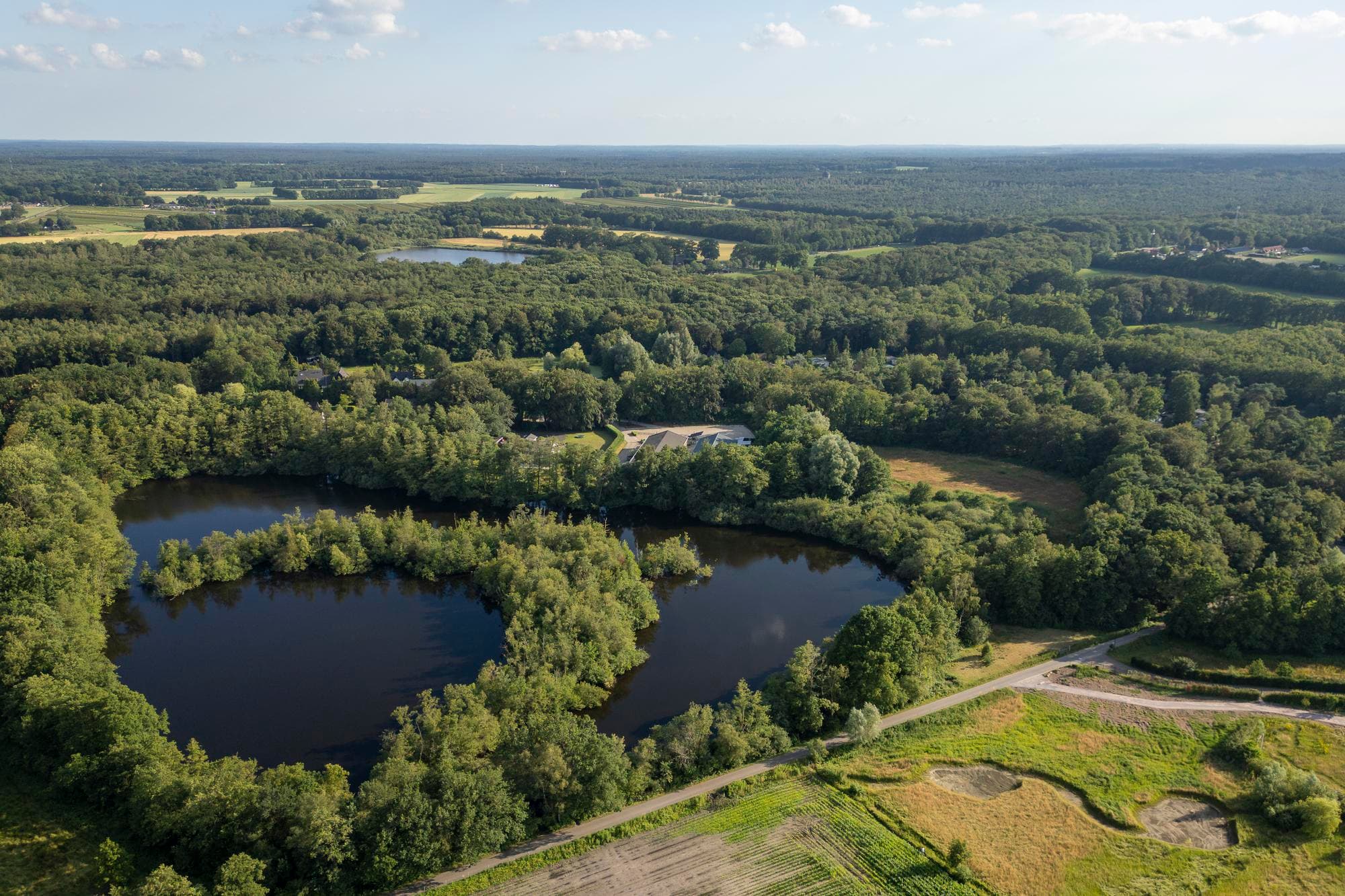 De Veluwe is een van de 100 Natura 2000-gebieden waar een zone komt, maar niet een van 1 kilometer breed. Voor de Veluwe geldt een maatwerkaanpak. Het kabinet sluit aan bij de provinciale 500-meterzone, maar aanvullend moet evengoed veel ammoniakuitstoot gereduceerd worden in 21 Veluwse gemeenten. Foto: Koos Groenewold