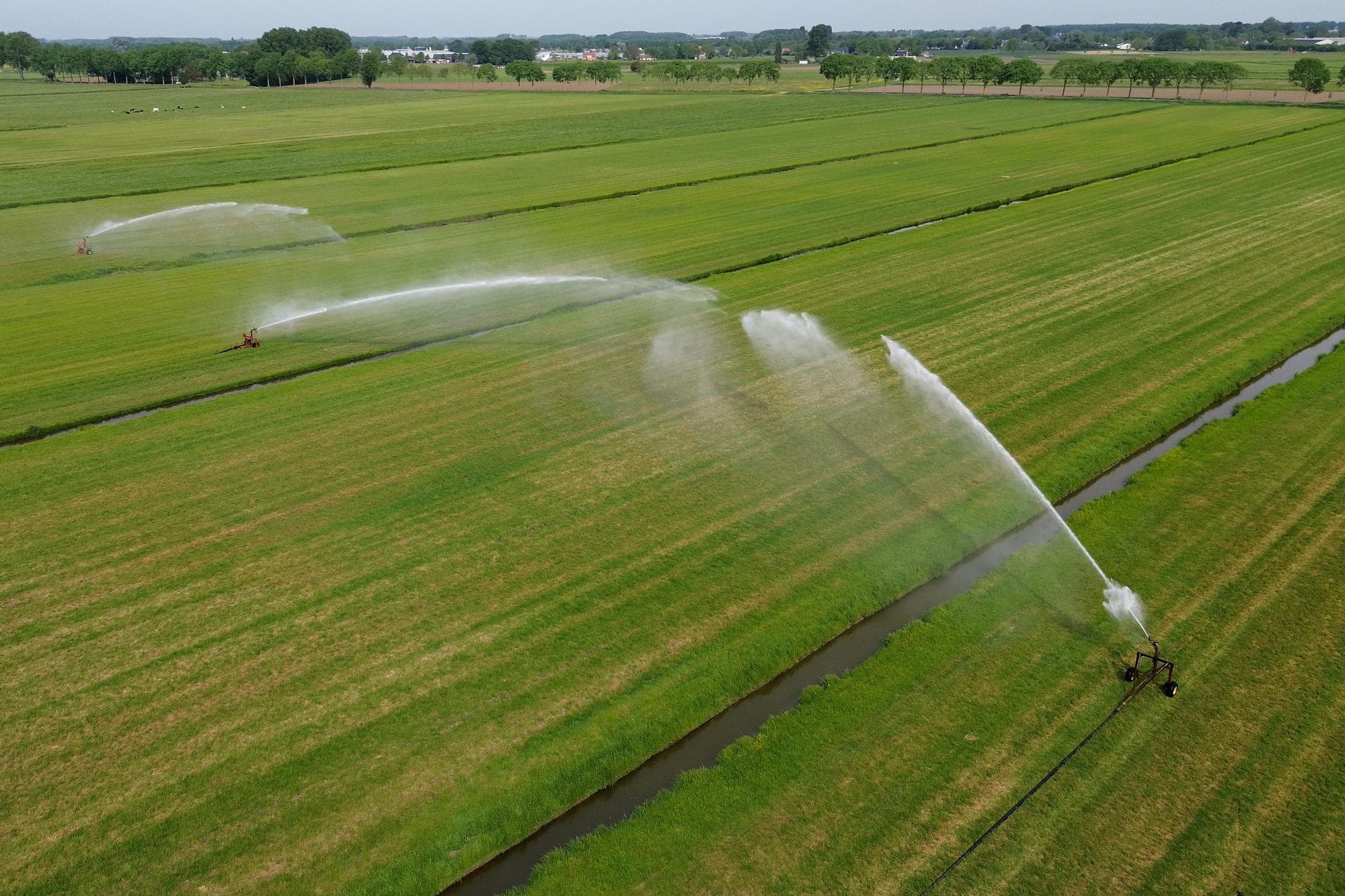 Beregening van grasland. Door het oplopende neerslagtekort gelden in verschillende regio’s beperkingen of verboden voor het onttrekken van oppervlakte- en grondwater. Foto: Michiel Eberwijn