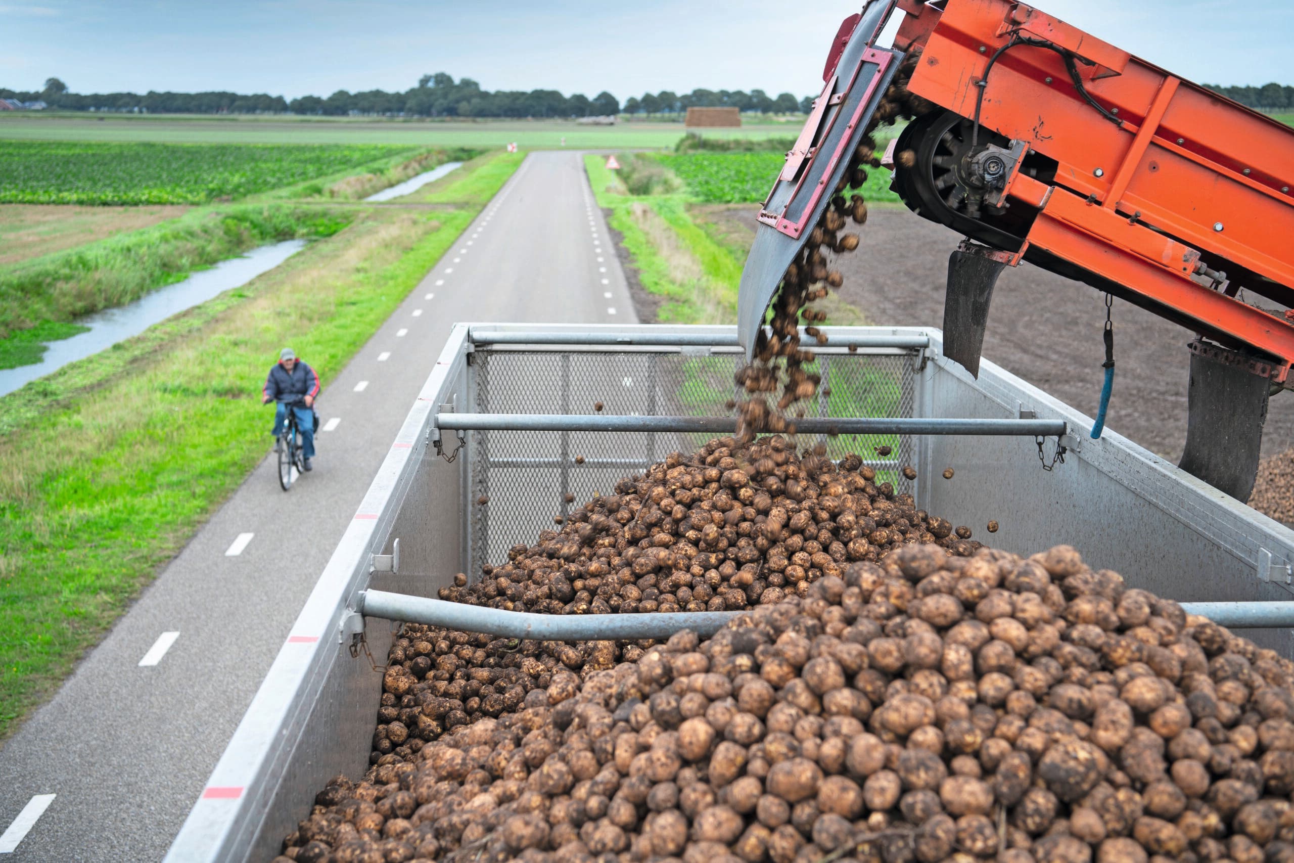 aardappelprijs Avebe