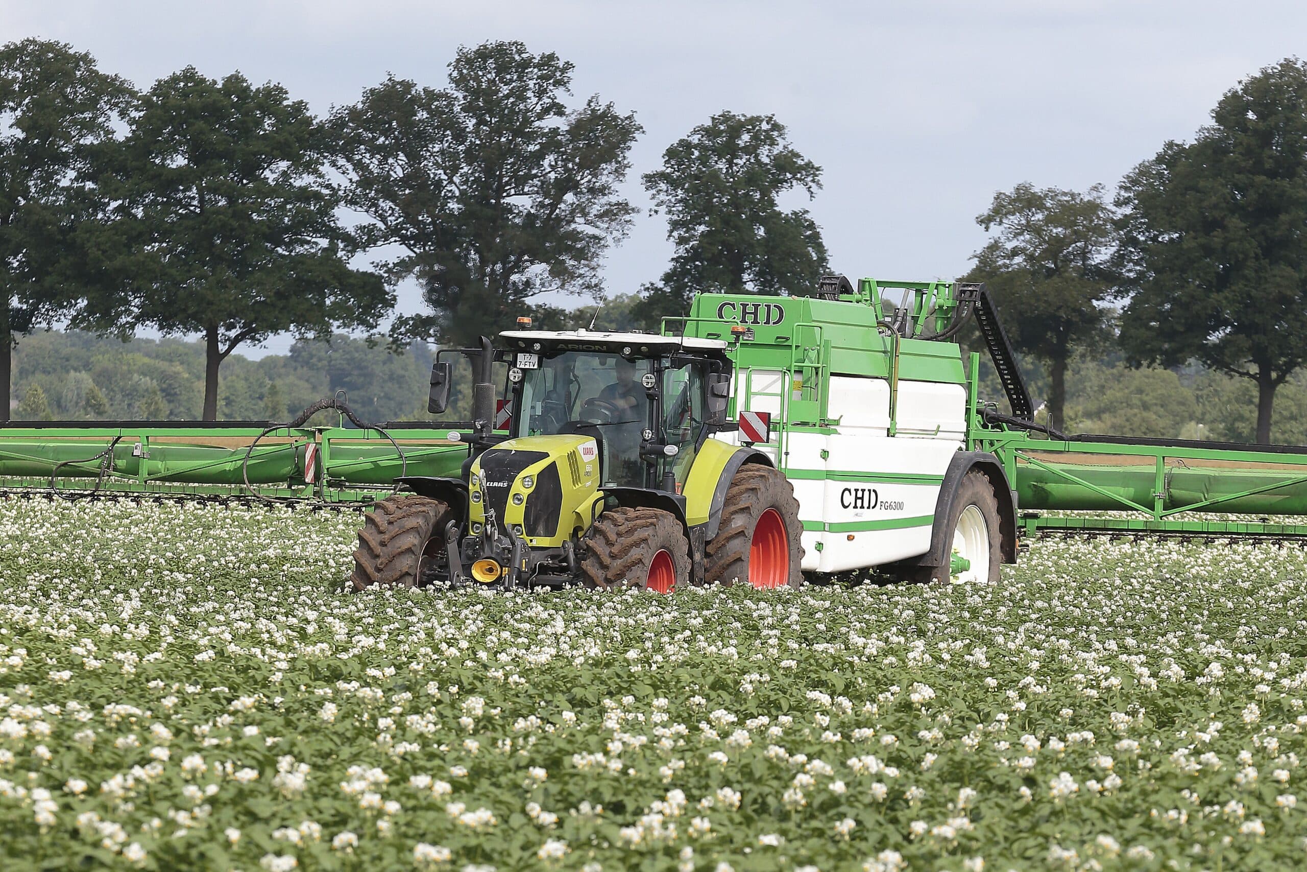 Mengen en afwisselen remt resistente phytophthora