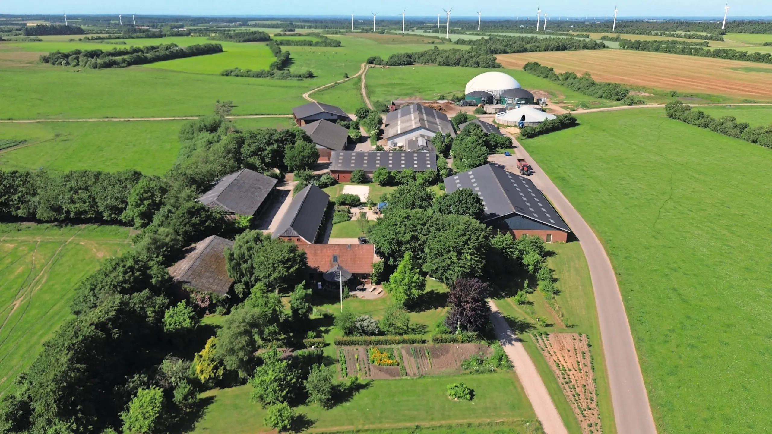 Deens biobedrijf groeit in hectares, niet in koeien