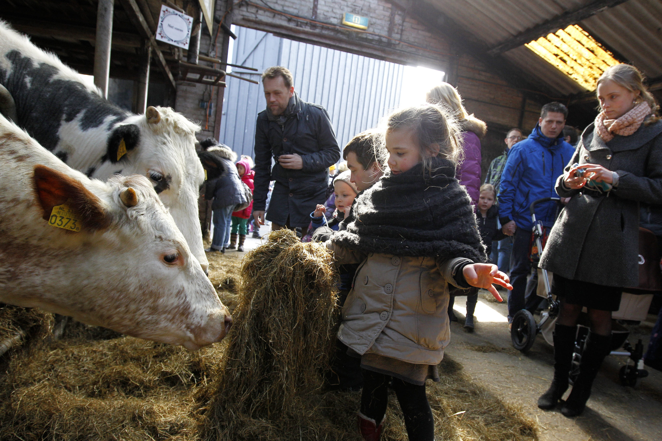 ‘Pr voor boer werkt het best door boer zelf’ - Boerderij