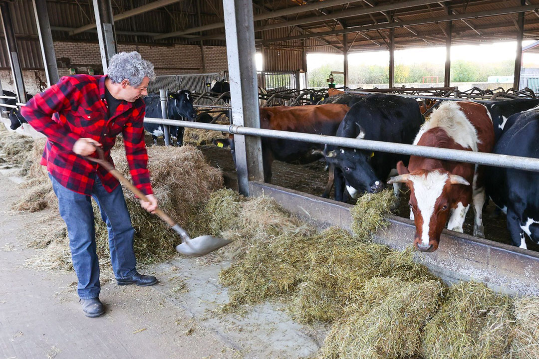 Biologisch Dynamisch Is Een Logische Vervolgstap - Boerderij