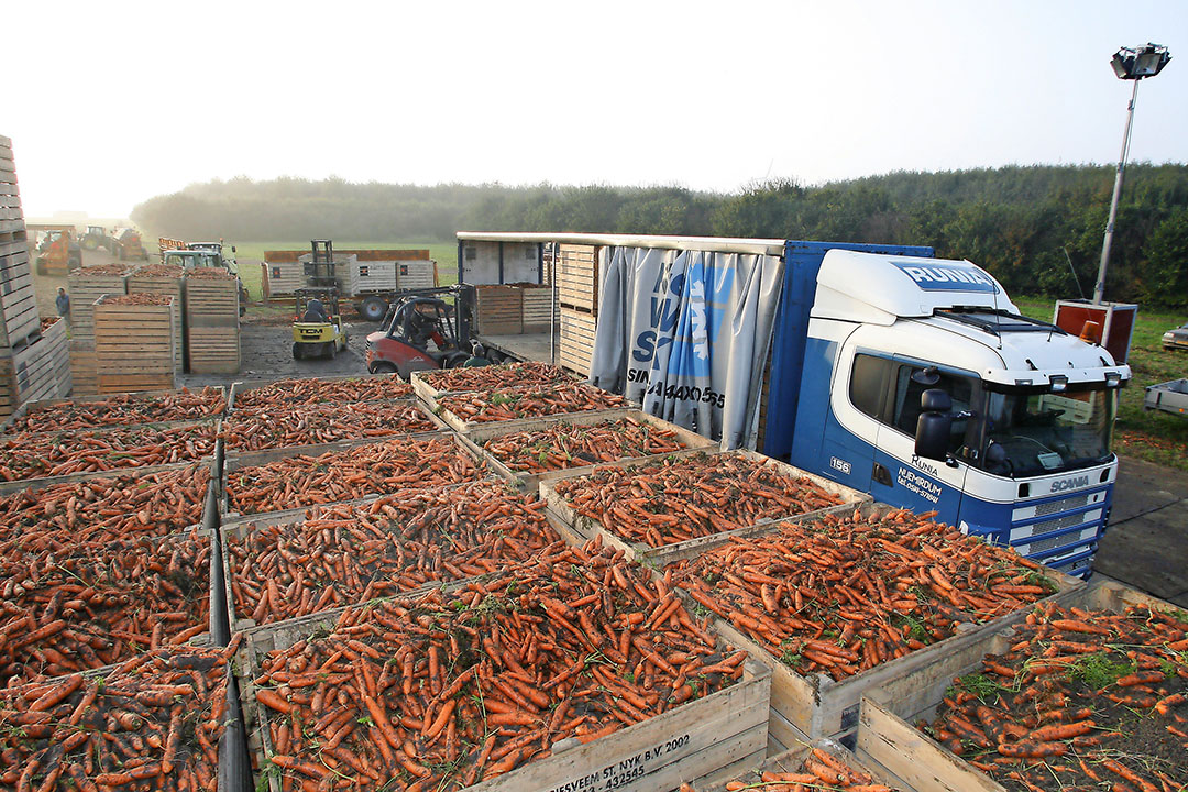 Groei Biologische Akkerbouw Geleidelijk Door Obstakels - Boerderij