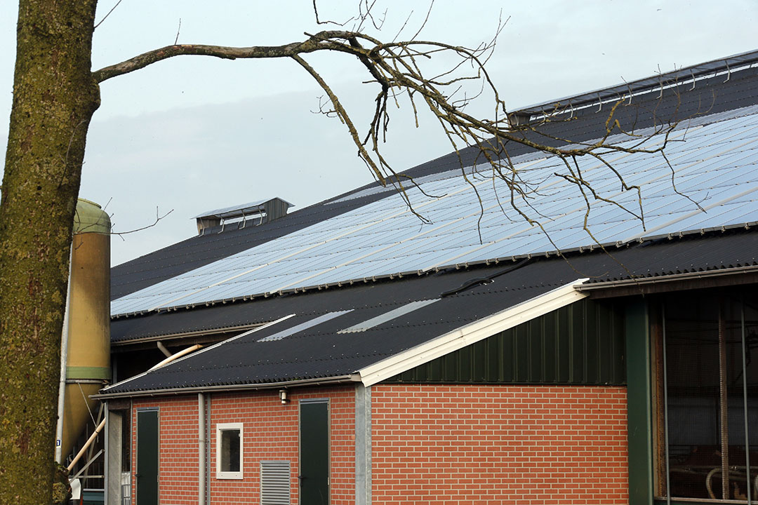 De Beste Boeren Hebben De Meeste Zonnepanelen Boerderij