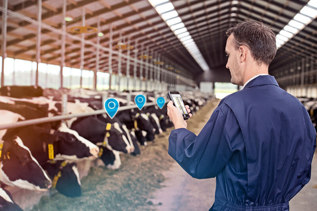 Tijdwinst en kostenbesparing met slimme technologie  Boerderij