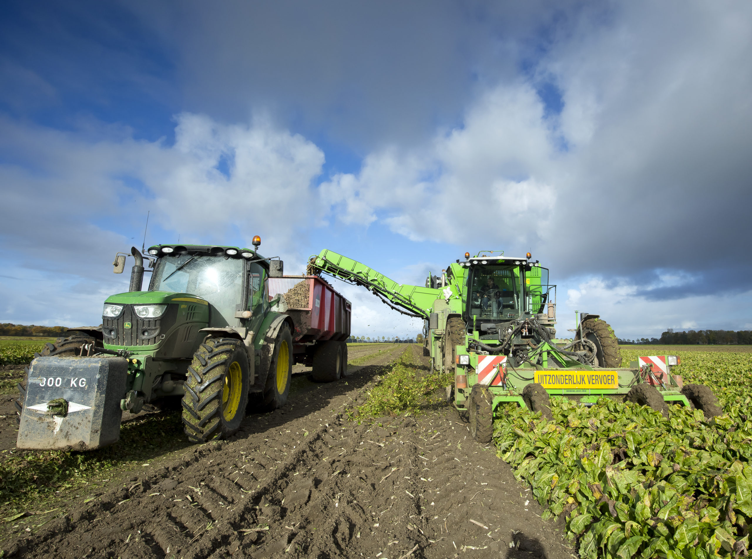 Delphy: Bio-akkerbouw Groeit In Vraag En Aanbod - Boerderij