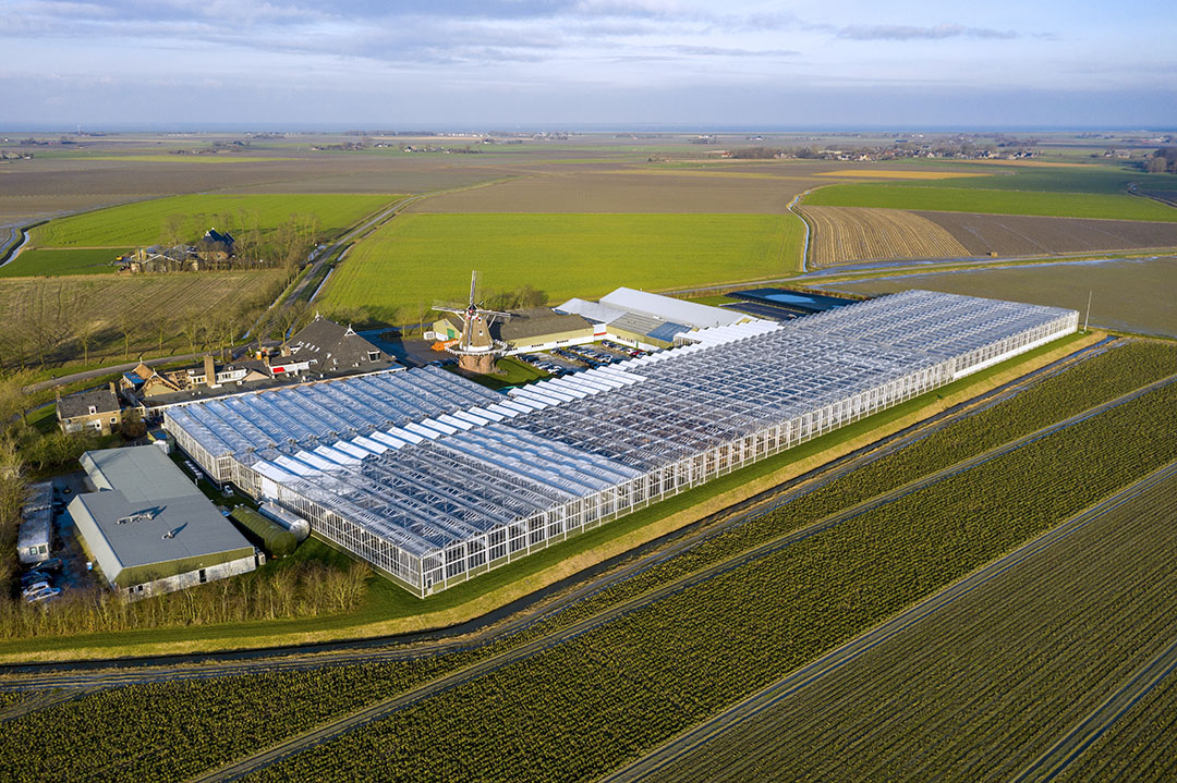 Beurskoers HZPC Zakt Onder € 100 - Boerderij