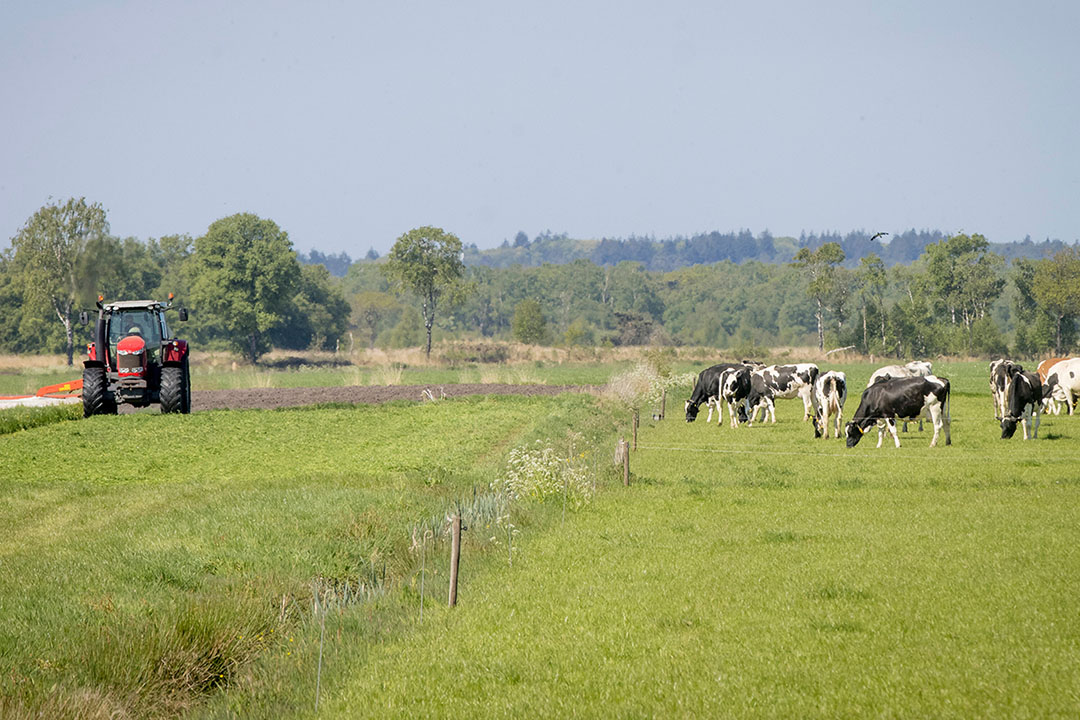 Webinar | Stikstofcrisis - Boerderij