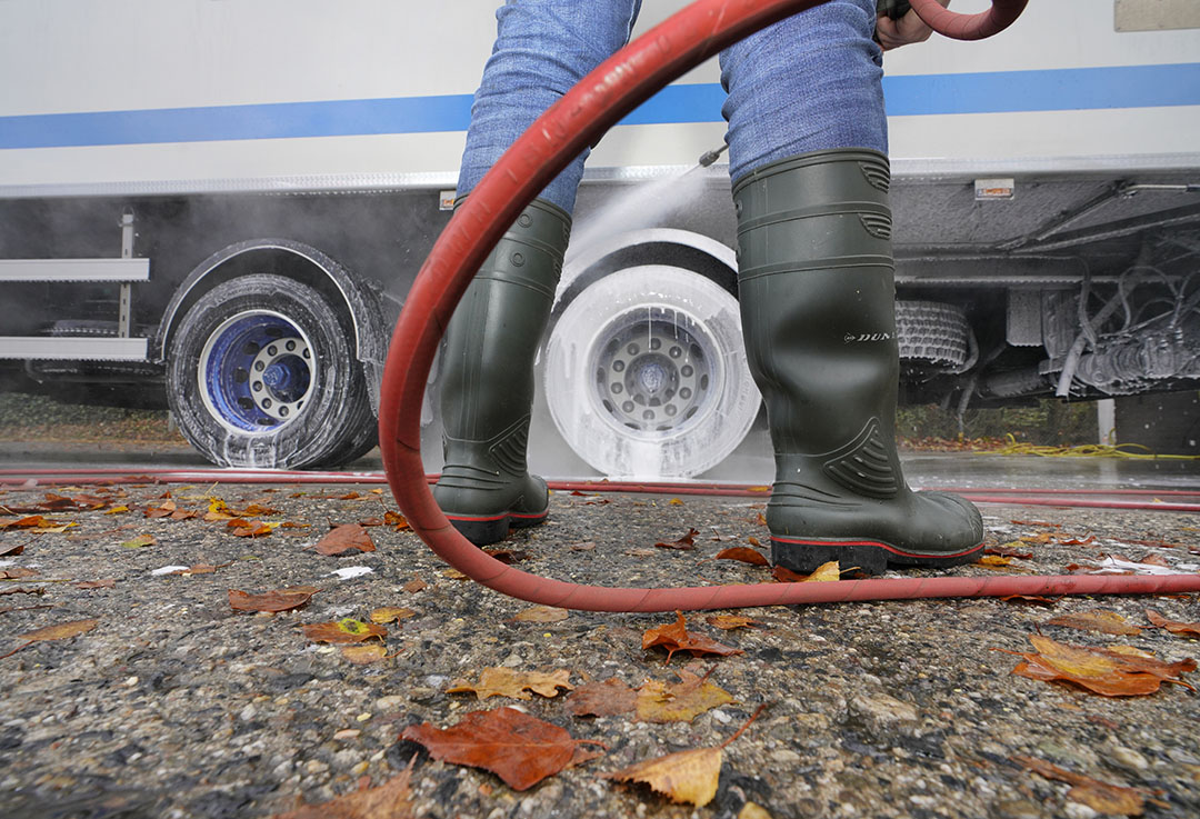 “Hygiene is the only resource for the moment against avian flu epidemics”