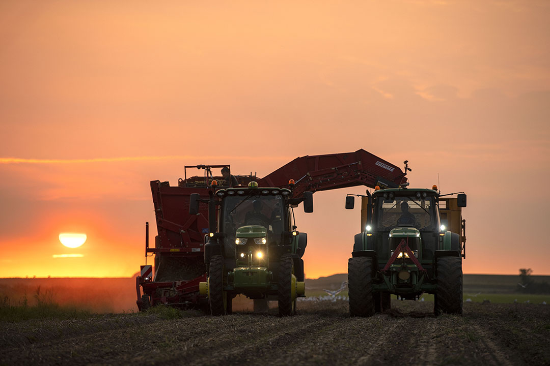 Akkerbouw Boert Ondanks Hoge Kosten Goed - Boerderij