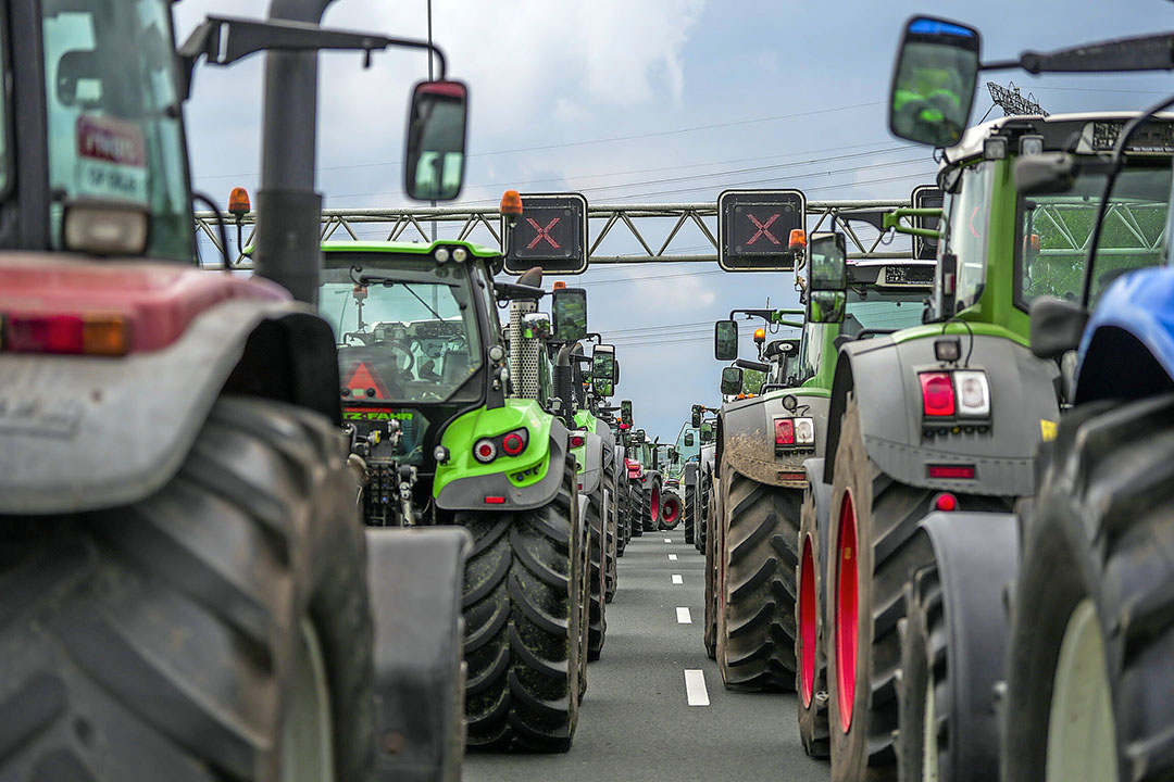 Heeft De Nederlandse Boer Nu Een Frans Temperament? - Boerderij