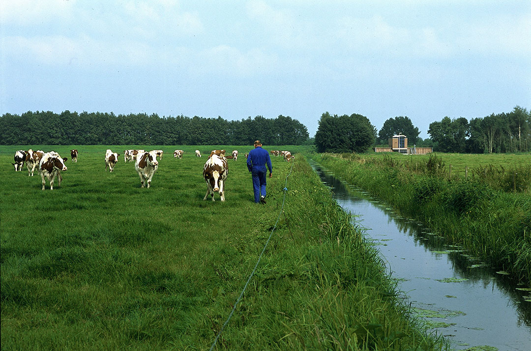 Overijssel Dreigt Met Stoppen Gebiedsgerichte Aanpak - Boerderij