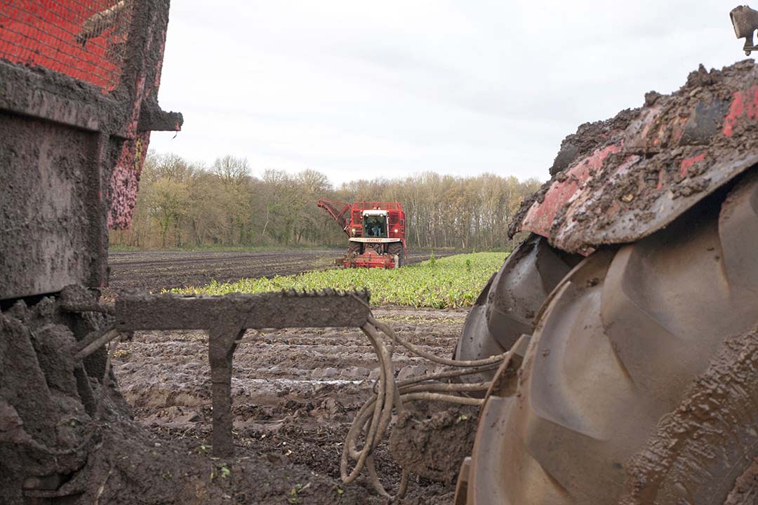 Grote Verschillen In Inkomens Akkerbouw - Boerderij