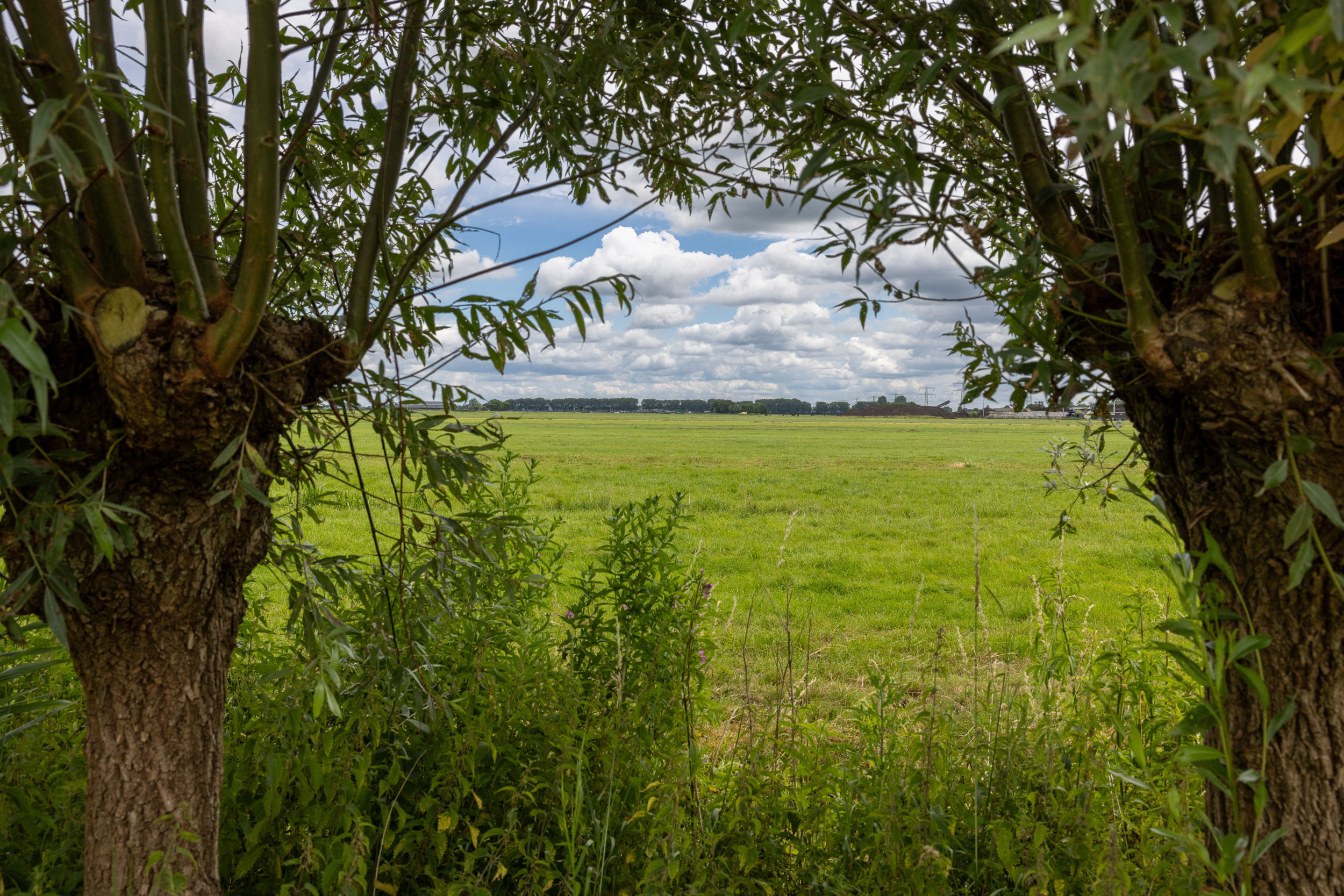 NPLG Stopt Hoe Dan Wel Boerderij