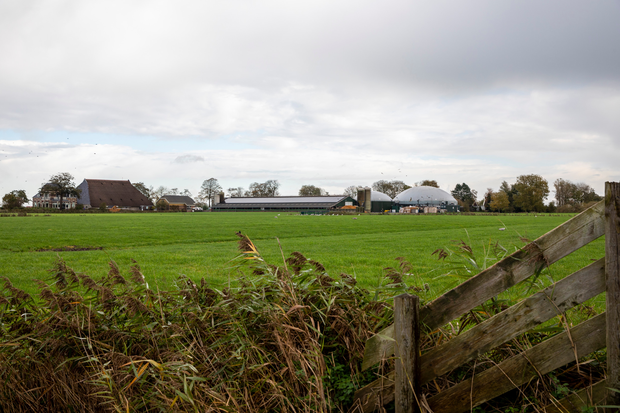 FrieslandCampina investeren in mestverwerking niet onze rol Boerderij